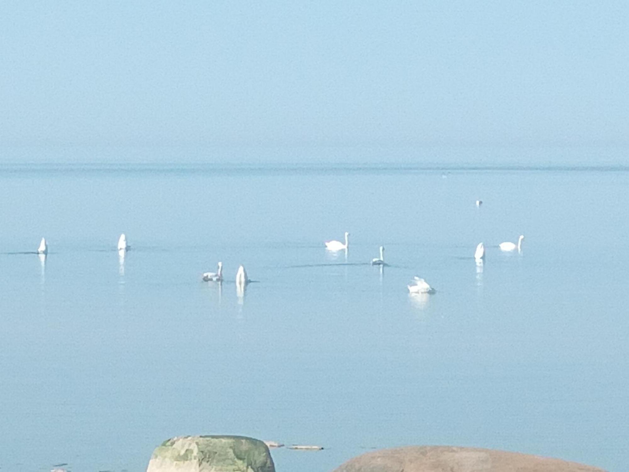 Viesu Nams Juras Bura Otel Tūja Dış mekan fotoğraf